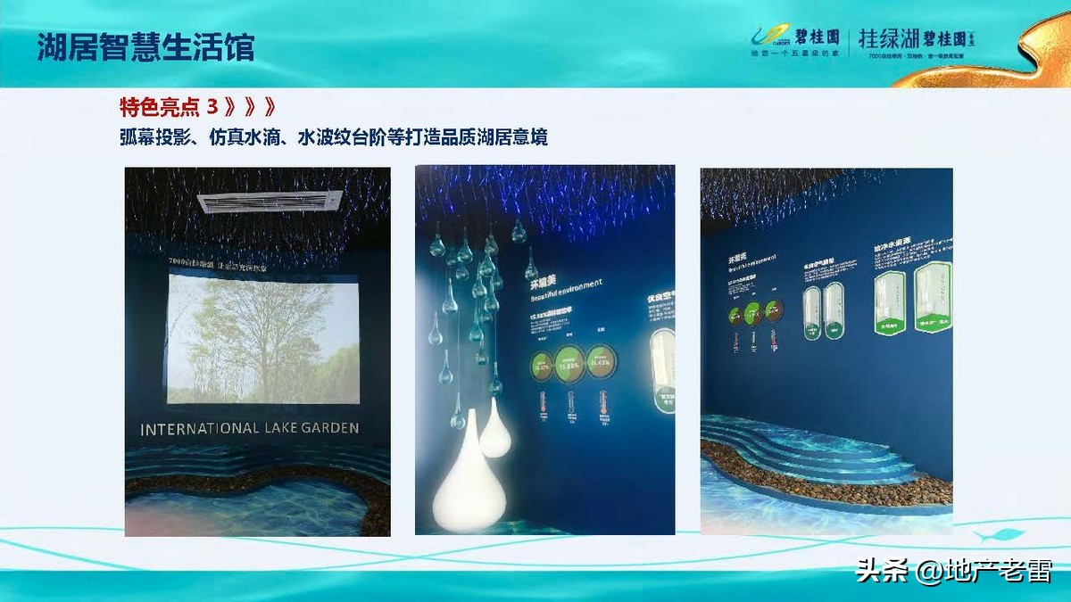 碧桂园精准发展方案,碧桂园的商品房改造方案