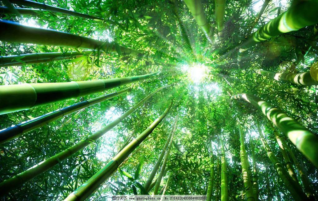 献爱心战胜病魔,为了爱战胜病魔