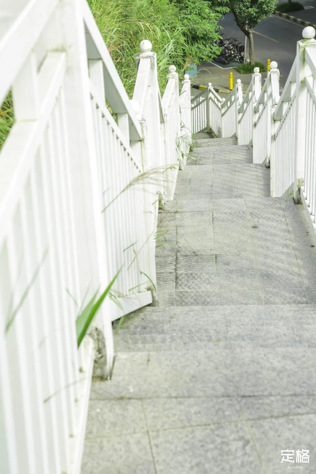 深圳百米长「纯白登山梯」，打卡绝了