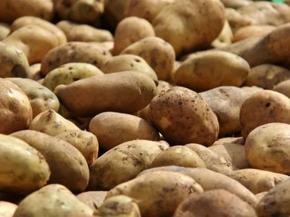 旅行甘肃陇南,旅游定西