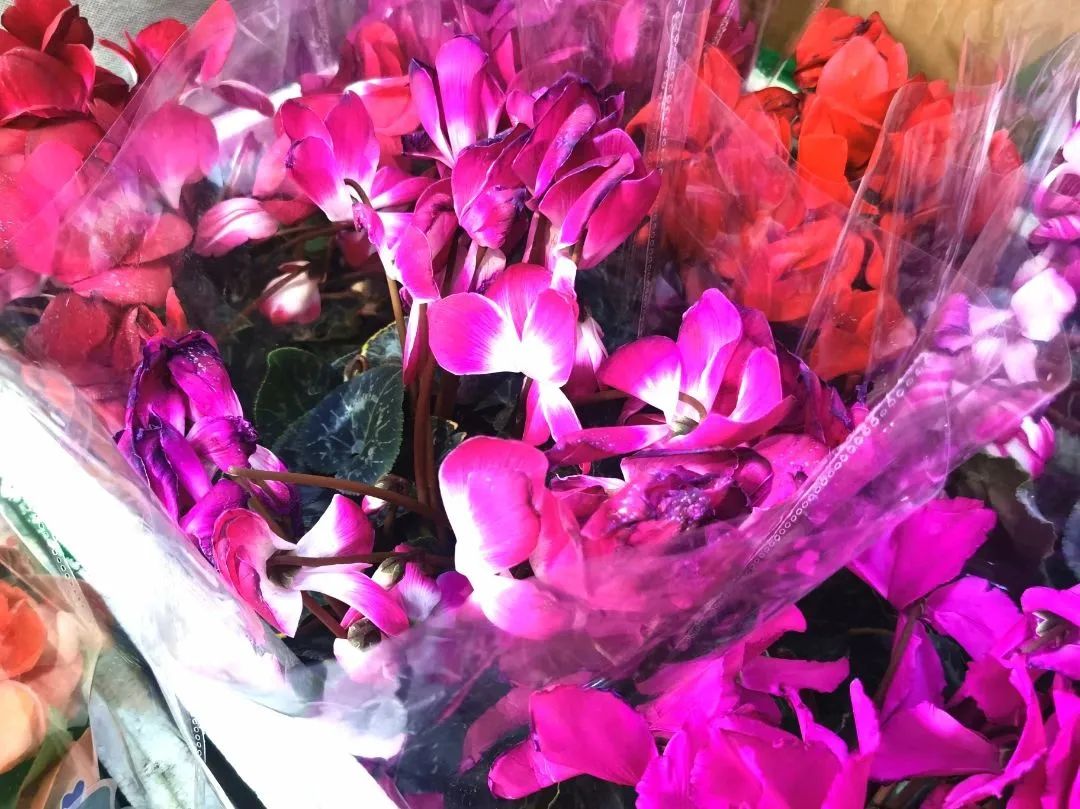 东城过大年|春节临近年味浓，东城年货市场供销两旺