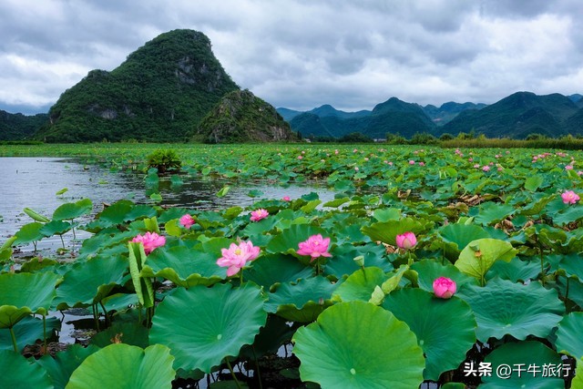 云南必去的4个景点,云南网红打卡景点