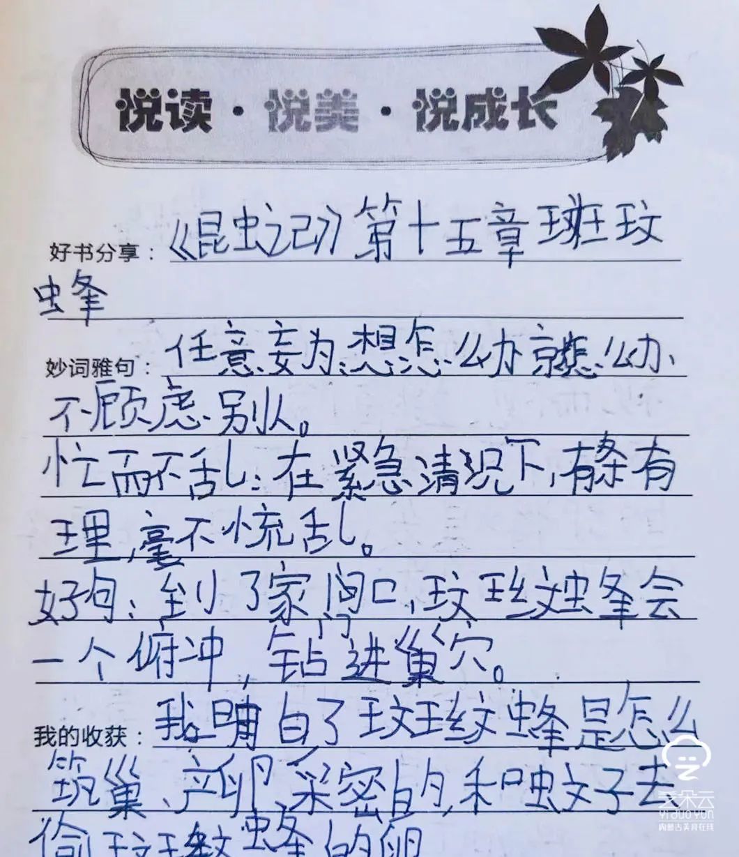 包头团结大街第二小学,包头昆都仑区小学