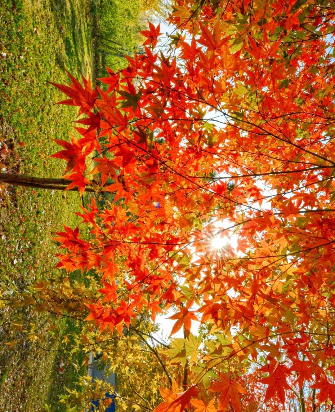 不管你在别人眼里是什么样子,你的好在别人眼里一文不值