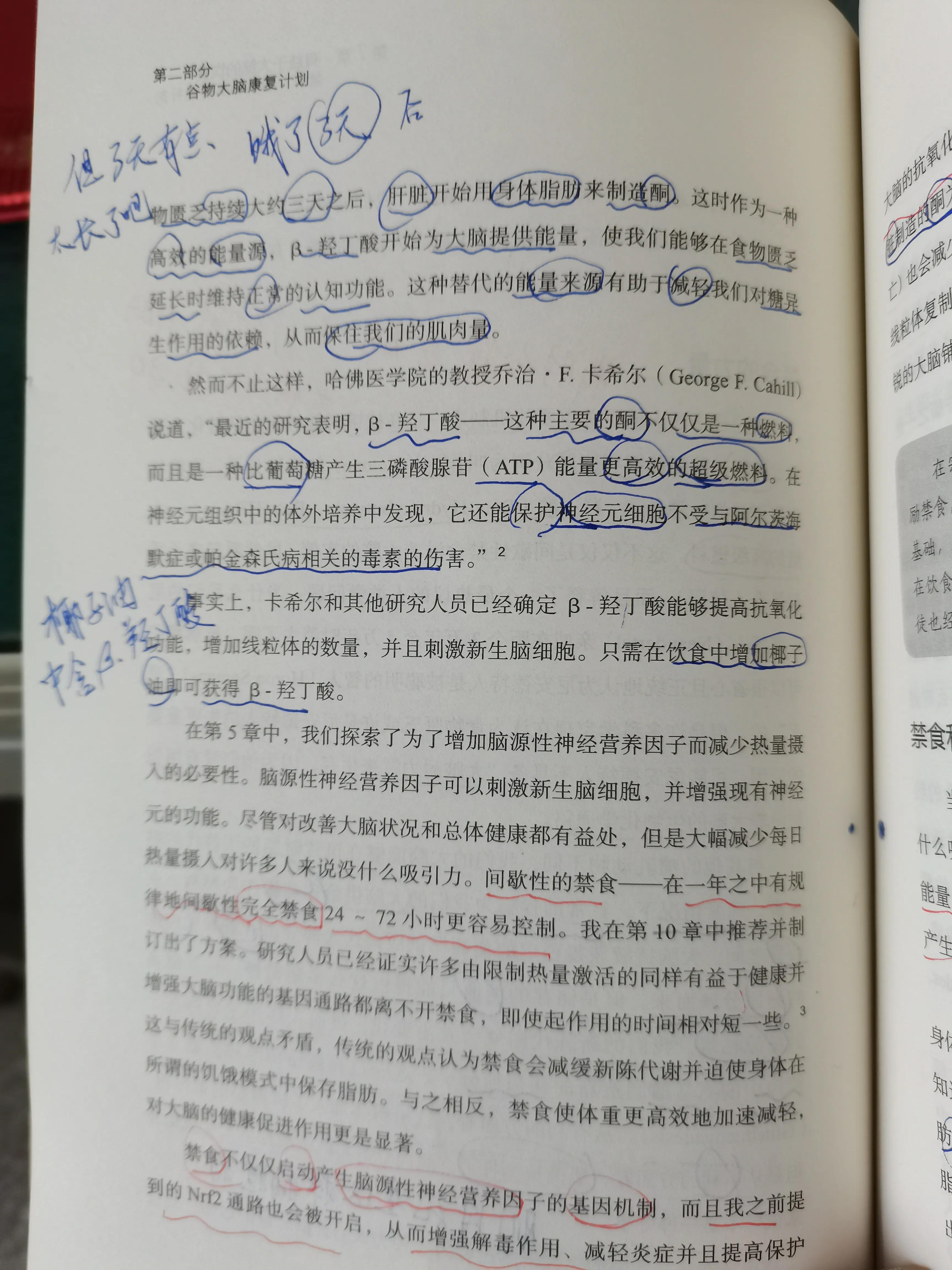 谷物大脑具备权威性吗,谷物大脑有人看过吗