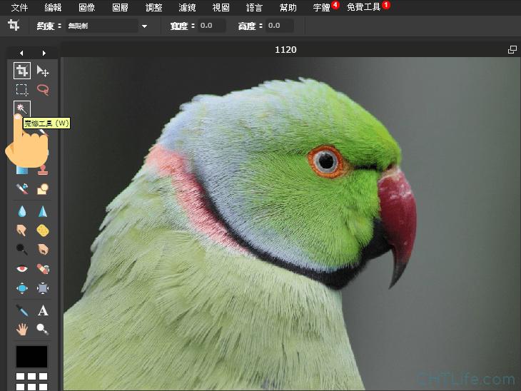 鍓槧鎬庝箞鍘婚櫎鐓х墖鑳屾櫙,wps濡備綍鍘婚櫎鐓х墖鑳屾櫙棰滆壊