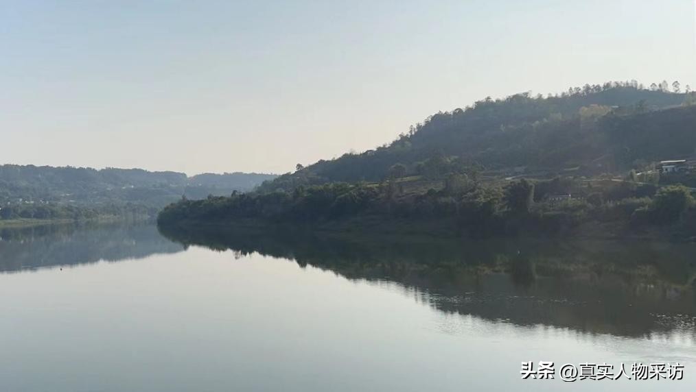 40岁养鸡一年能赚多少钱,养鸡1万只鸡一年赚50万