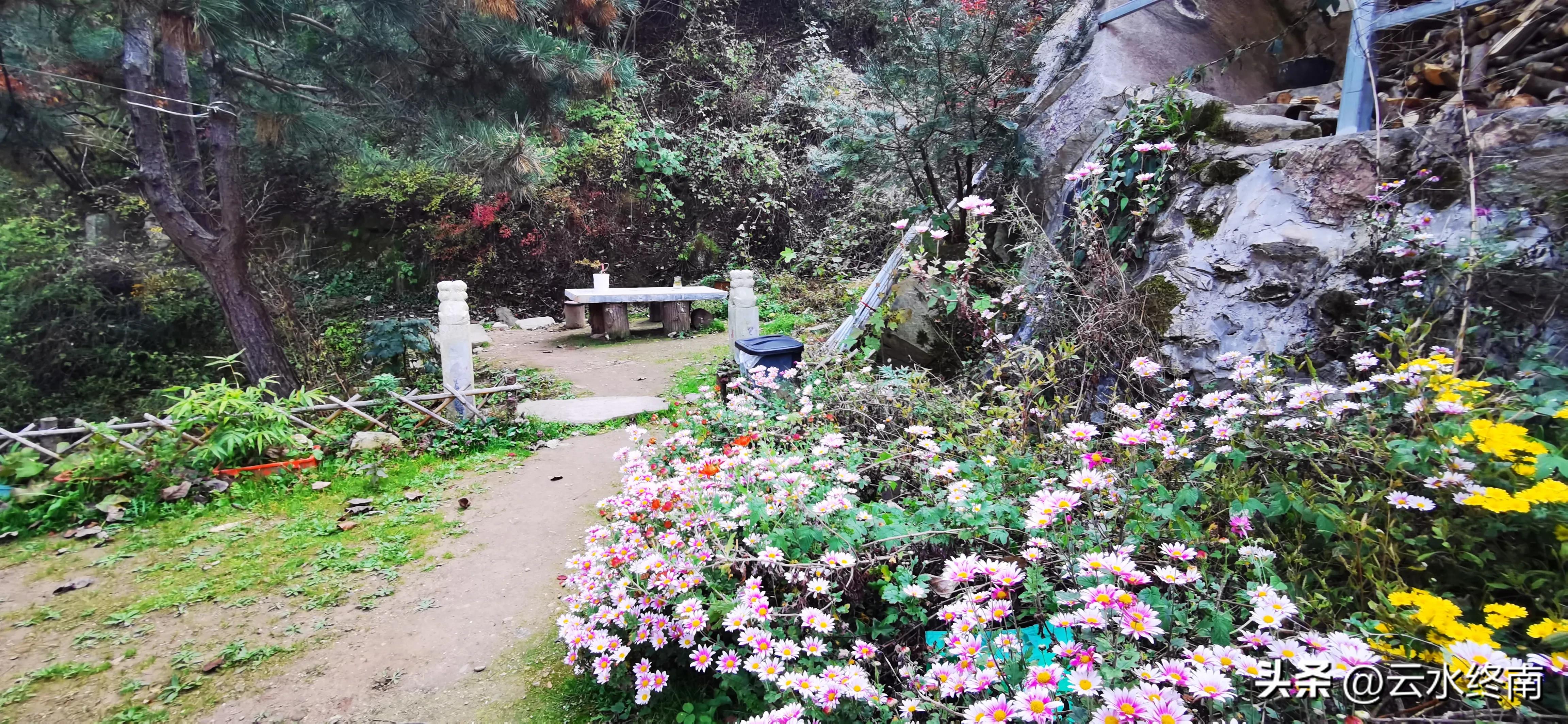 享个清福！到少有人知的峙峪看看漫山红叶，喝喝住山人清茶