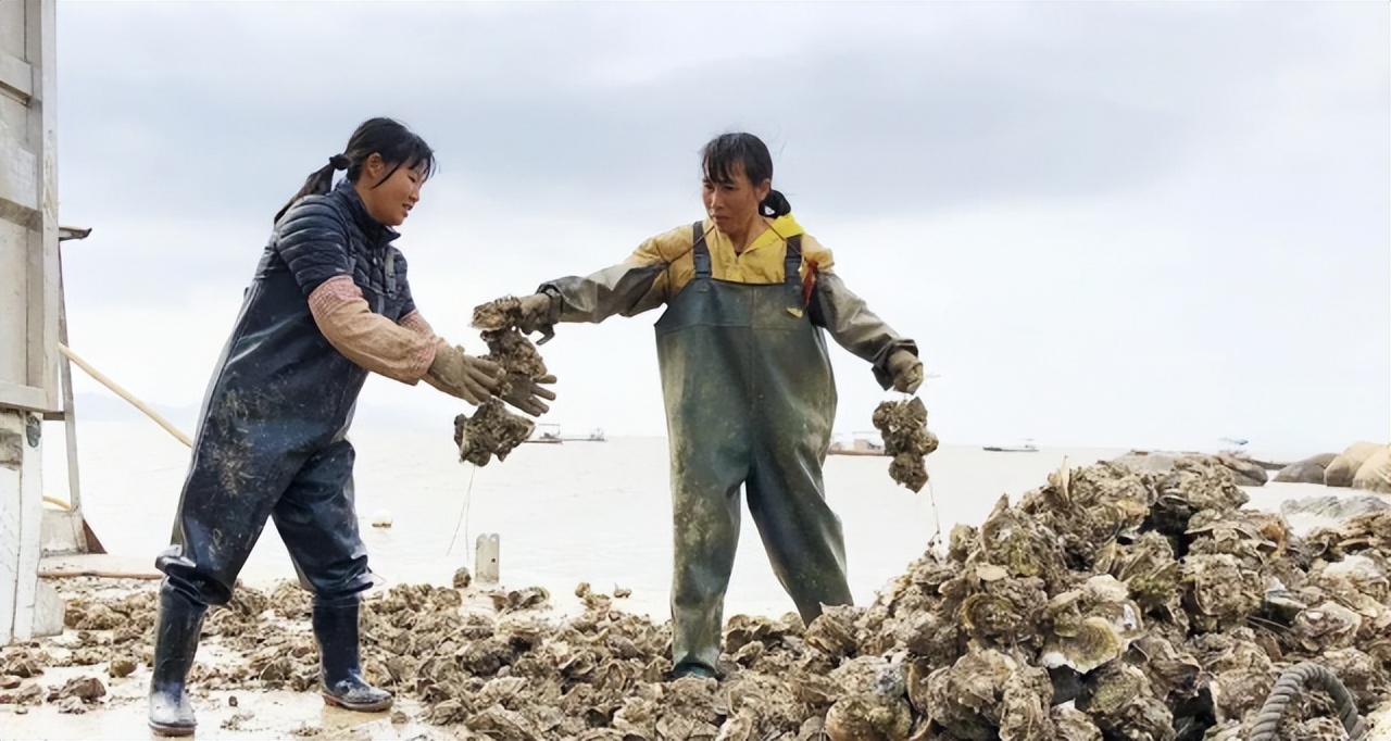 江门冷链产业园,广东江门冷链产业园