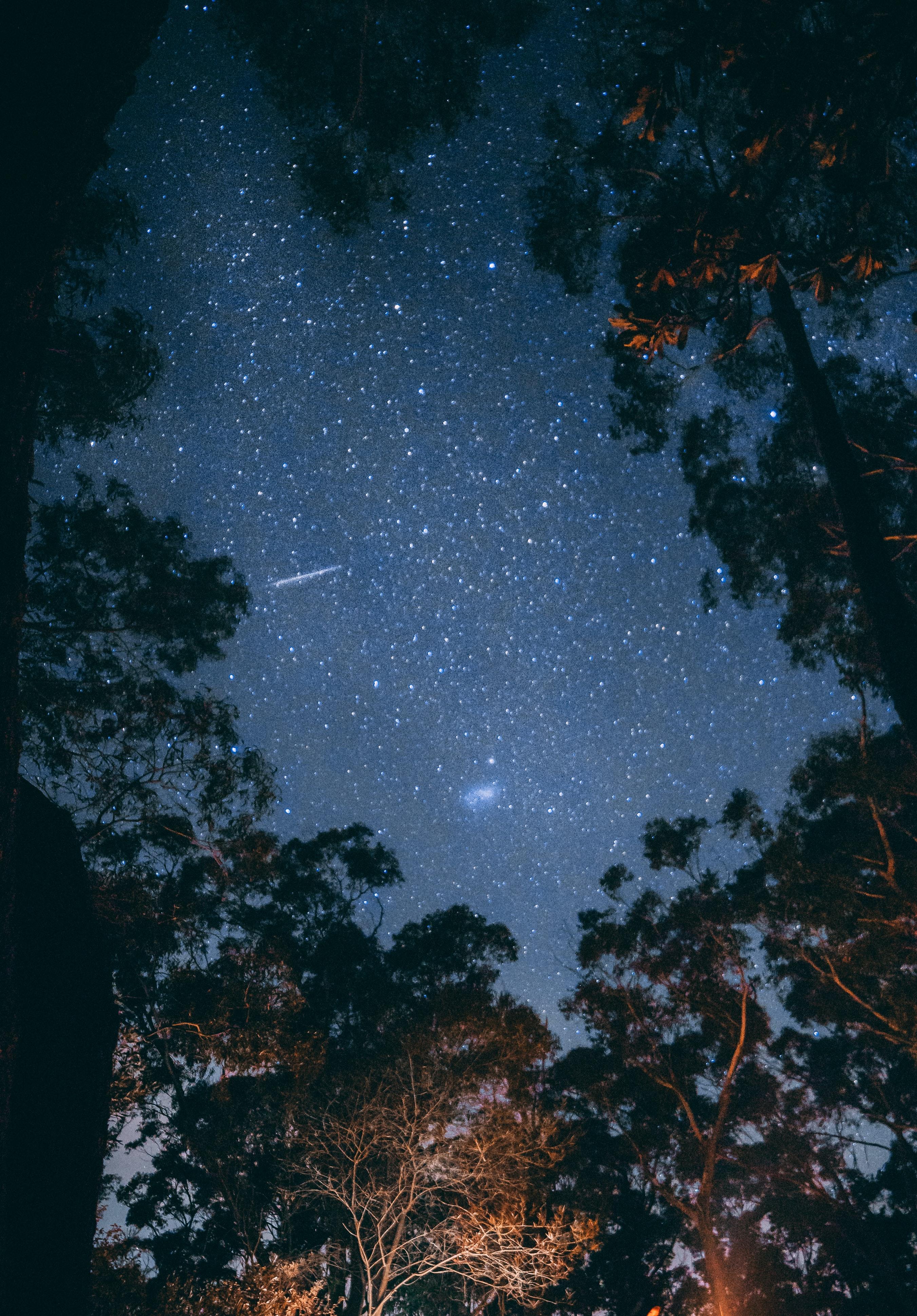 精致露营更精致,精致露营和徒步露营