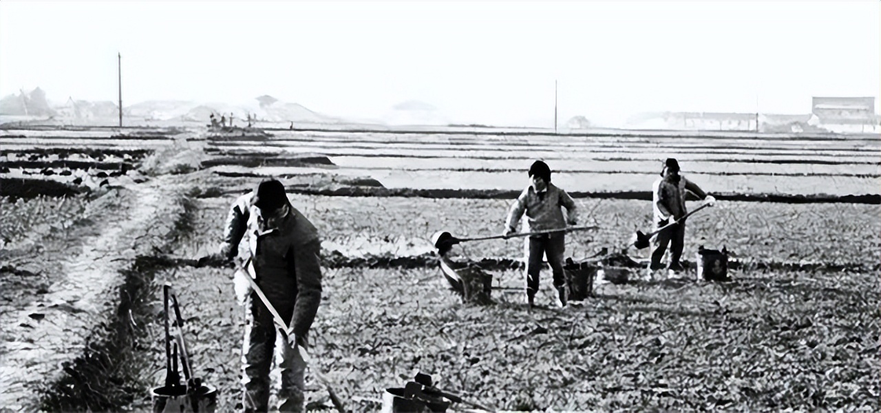 大邱庄景象如何？禹作敏的别墅杂草丛生，门牌被摘去，一片破败