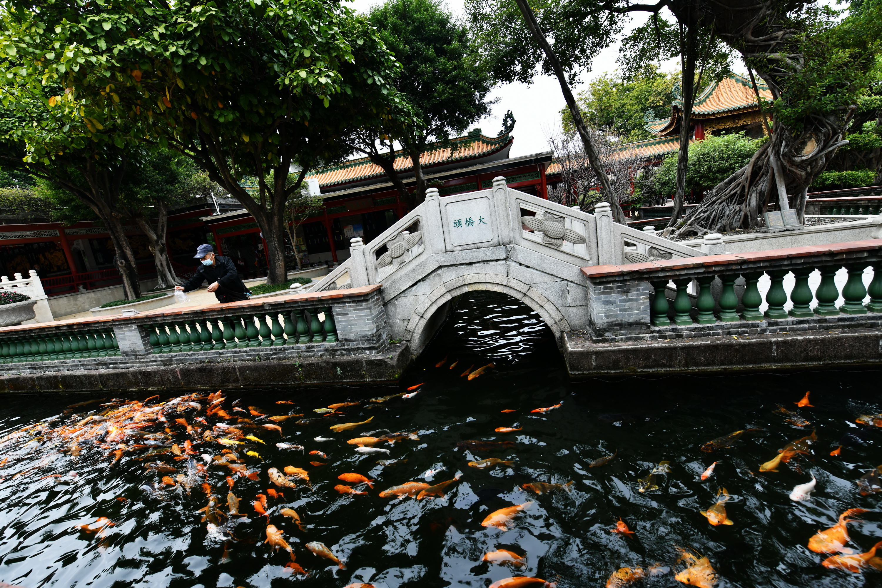 广州市番禺区宝墨园攻略,广州宝墨园景观