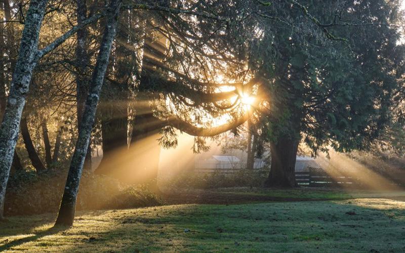 直女的性格是怎么样的,什么样的女孩才算直女