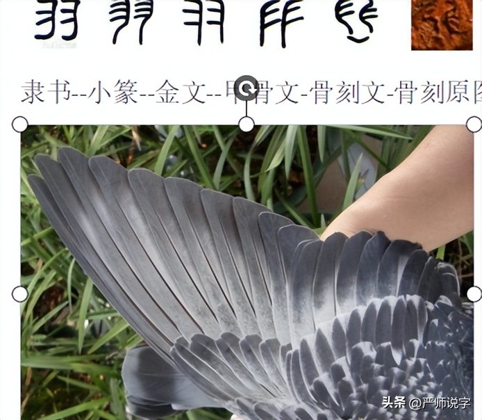 汉字的偏旁部首大全完整版带朗读,汉字偏旁部首名称表最齐全最完整