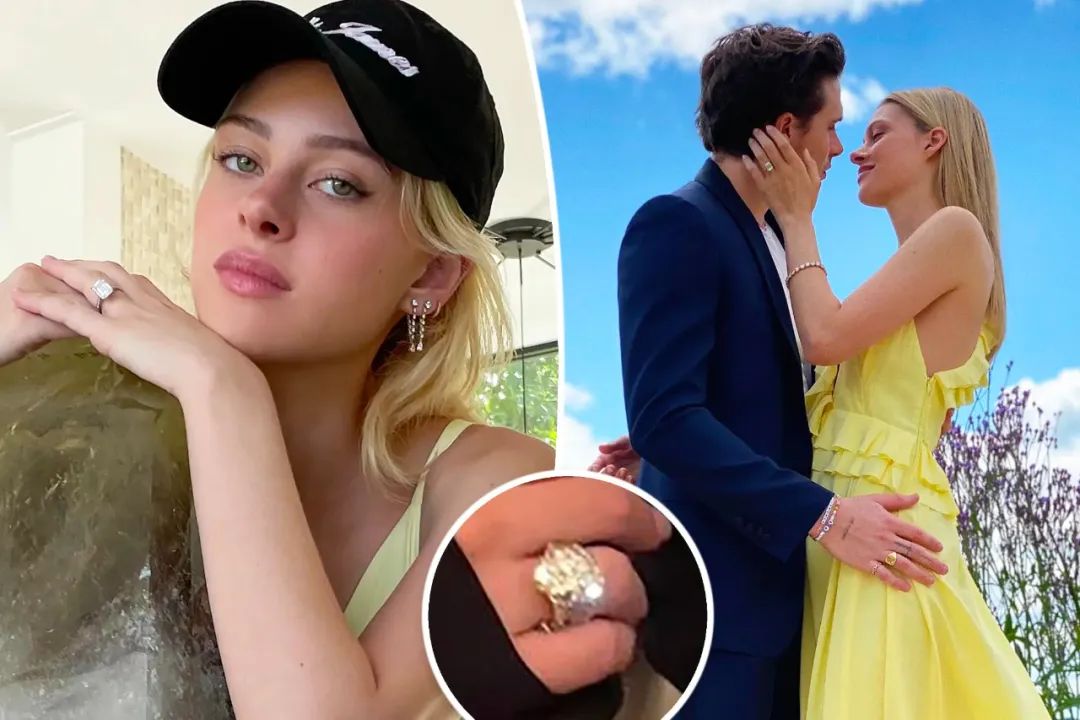 现实版豪门赘婿,现代豪门赘婿