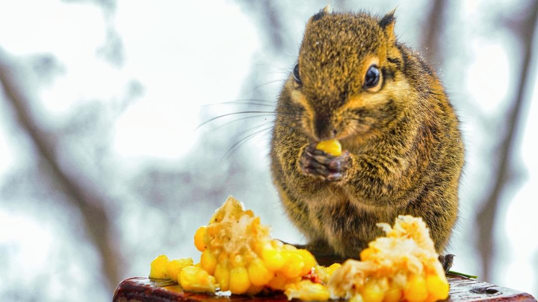 值得带娃去玩的景区推荐,无锡免费景区有哪些地方好玩
