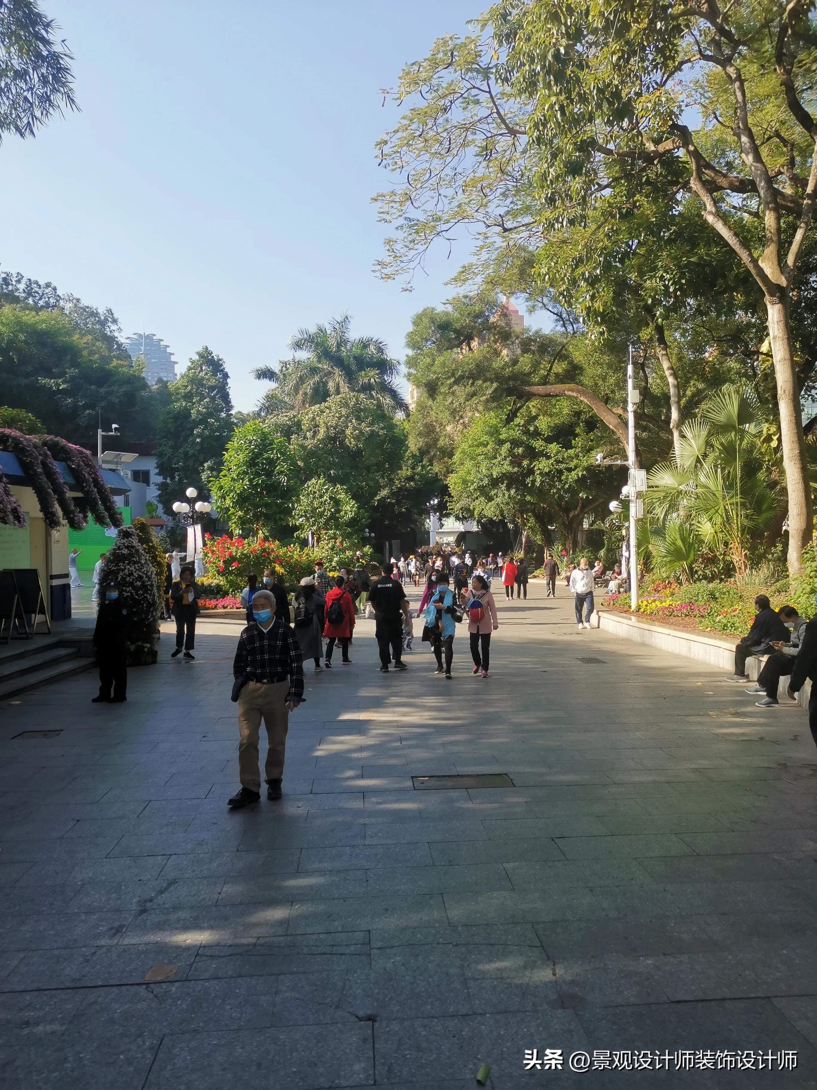 深圳市东湖公园广场舞,深圳市东湖公园收费标准