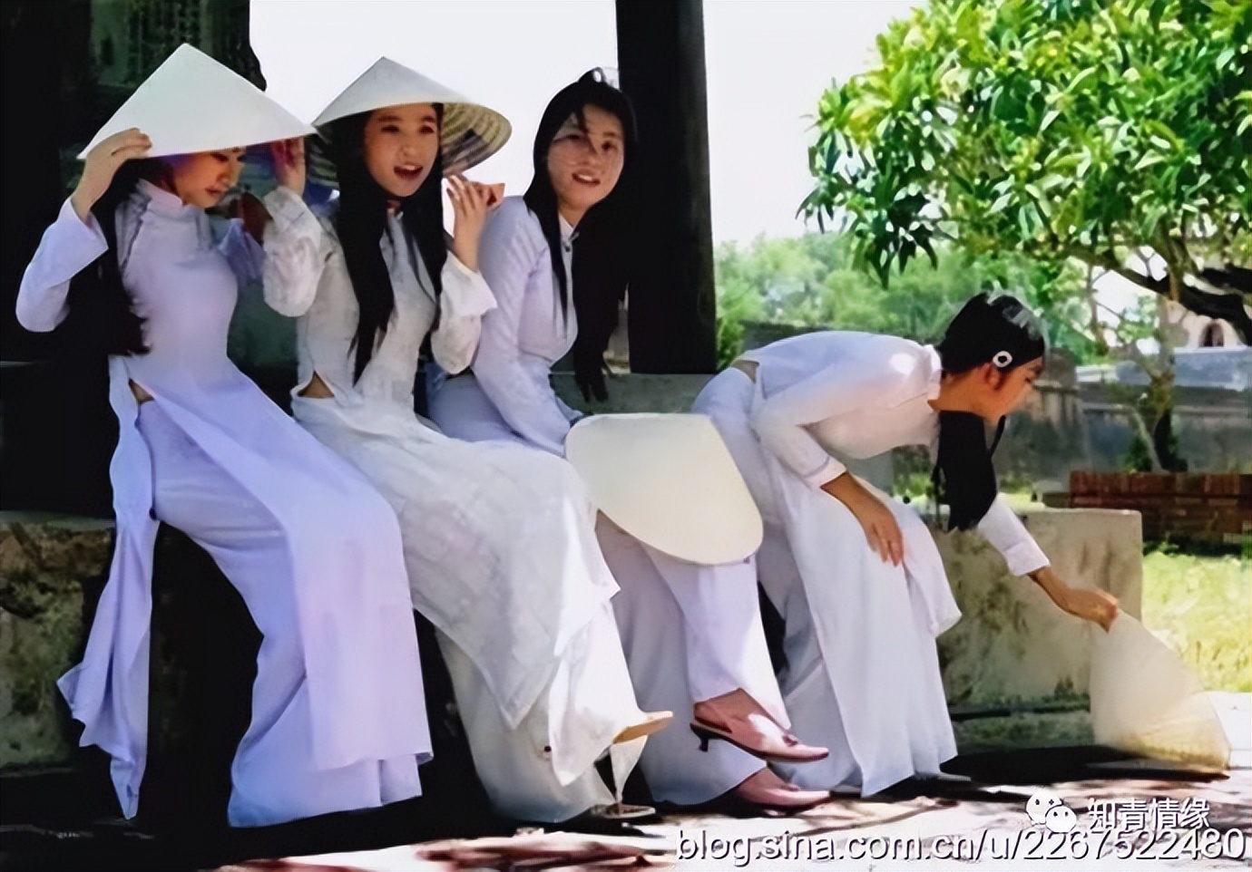 越南美女穿中国风旗袍,越南穿旗袍的民族美女