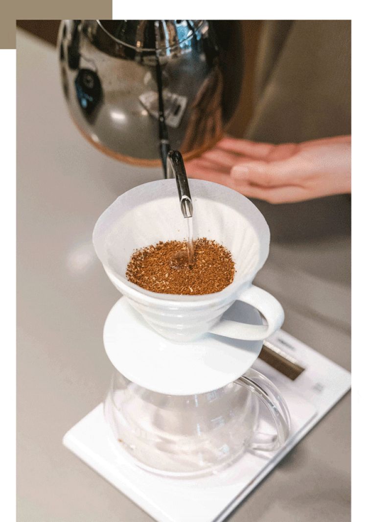 大学路上的咖啡“探险家们”，寻找世界上的奇妙一杯