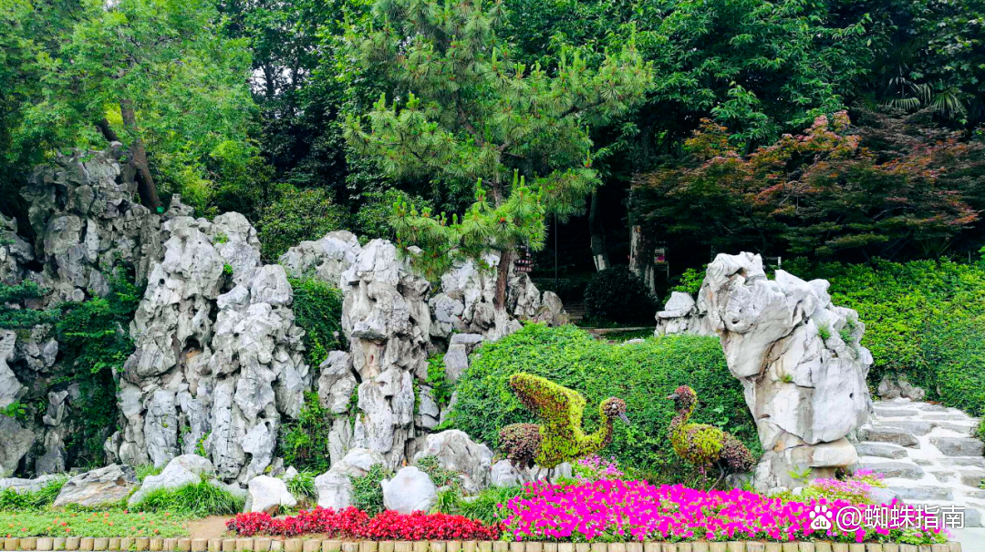 南京城东宝藏公园,南京小众宝藏地