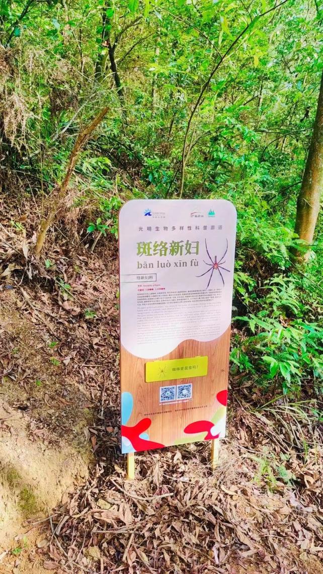 端午假期光明活动超精彩！音乐live、摘荔枝、包粽子……等你解锁！