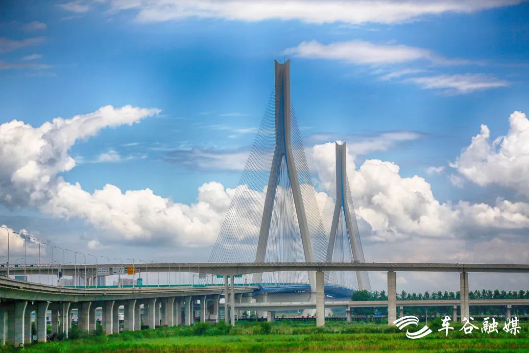车谷桥梁:城市“大动脉”的浪漫美学