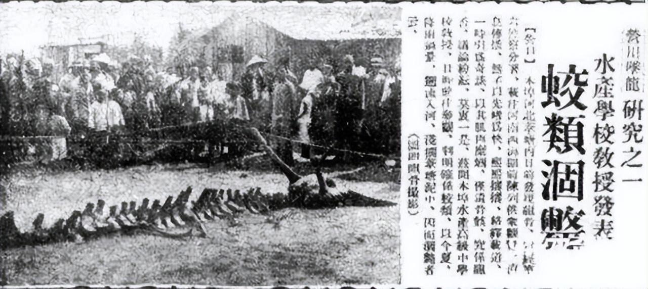 采访见过真龙的目击者,见过真龙的目击者