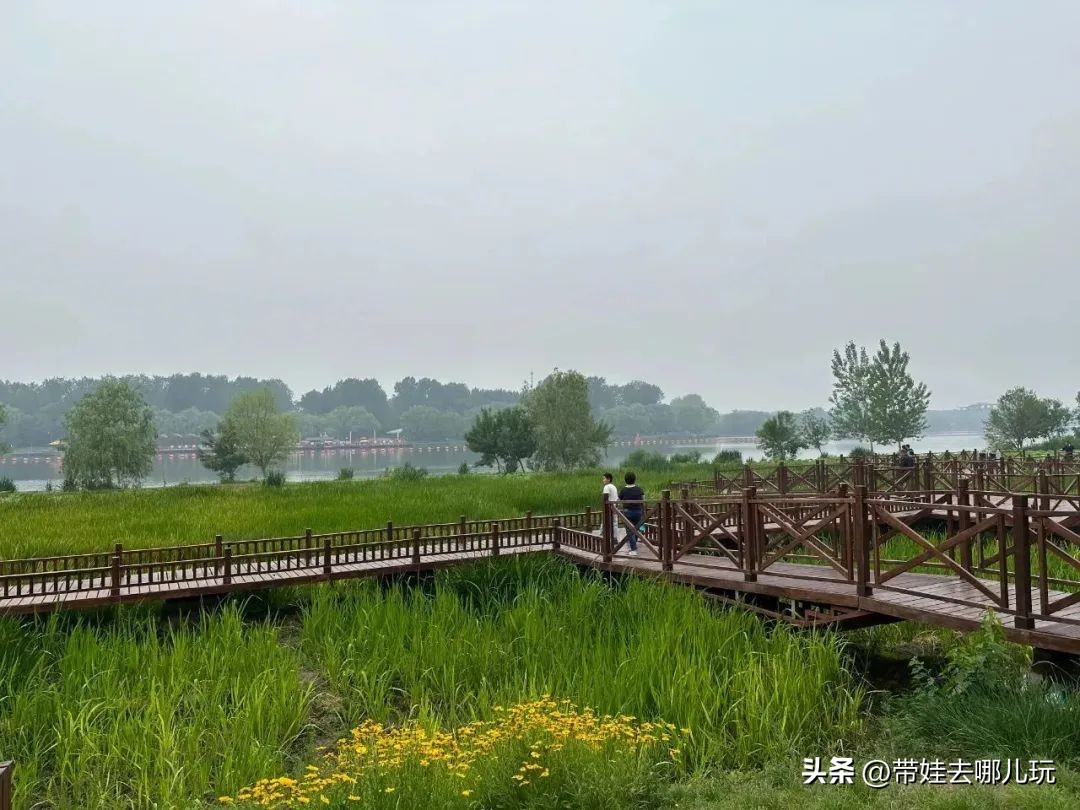 可搭帐篷公园,可以骑车搭帐篷的公园