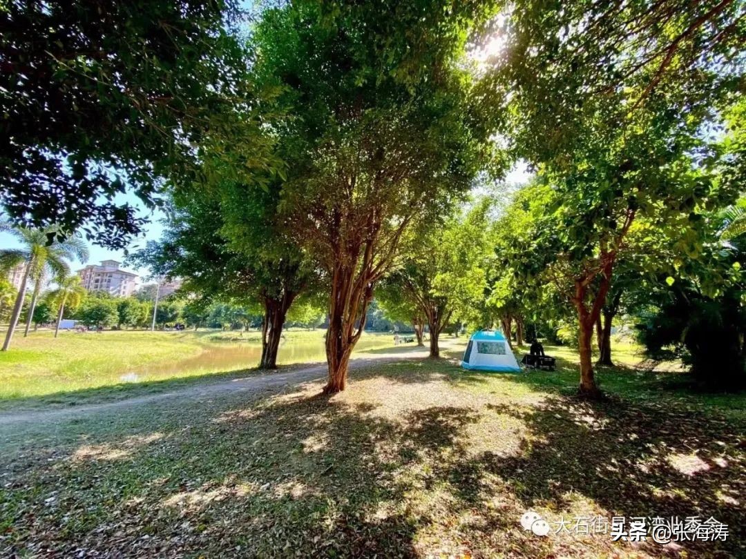 房价下跌业主跪求退房,星河湾房价暴跌原因