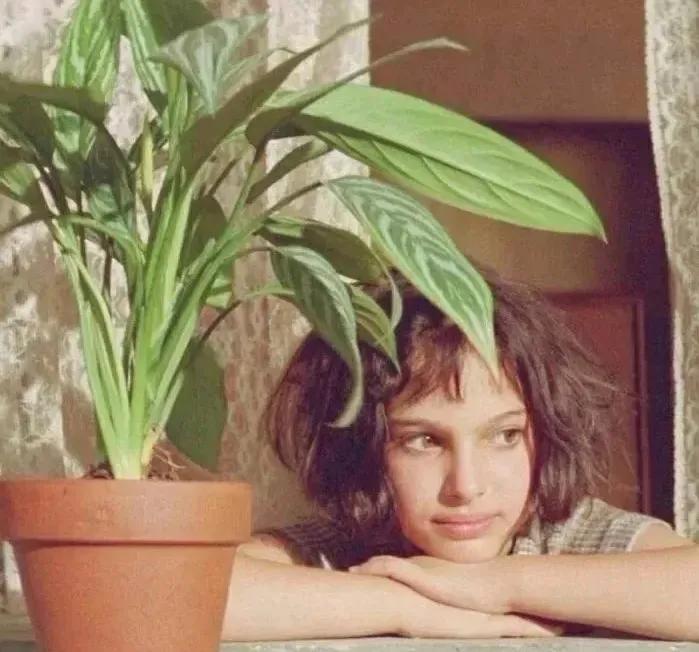 容貌焦虑不停整容,关于整容与容貌焦虑