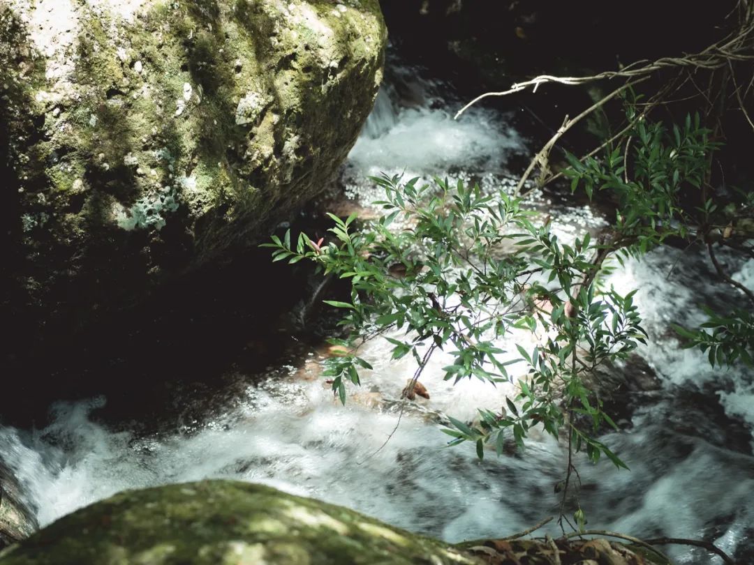这座海滨小城可真美丽,小众旅行海边小城市