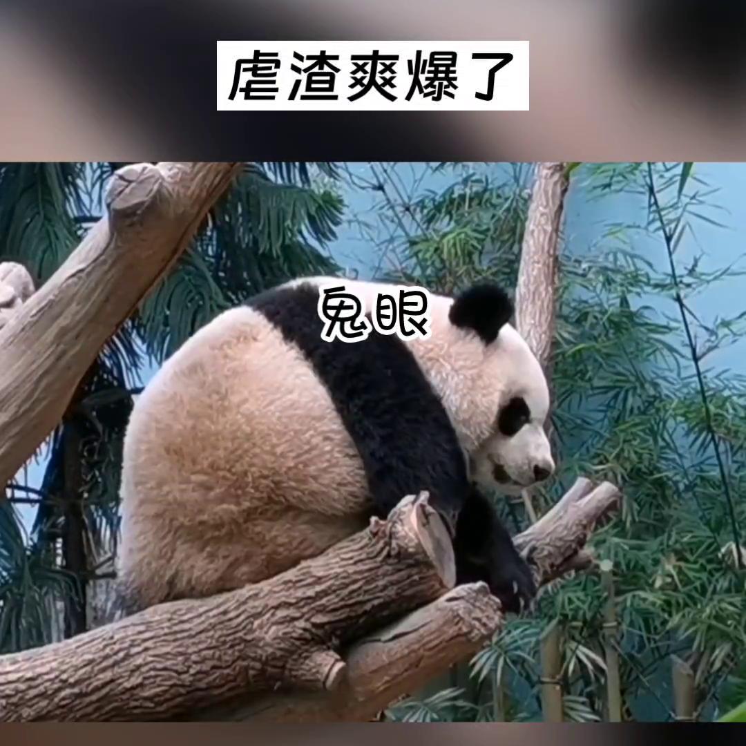 花花华晨宇,花花的世界