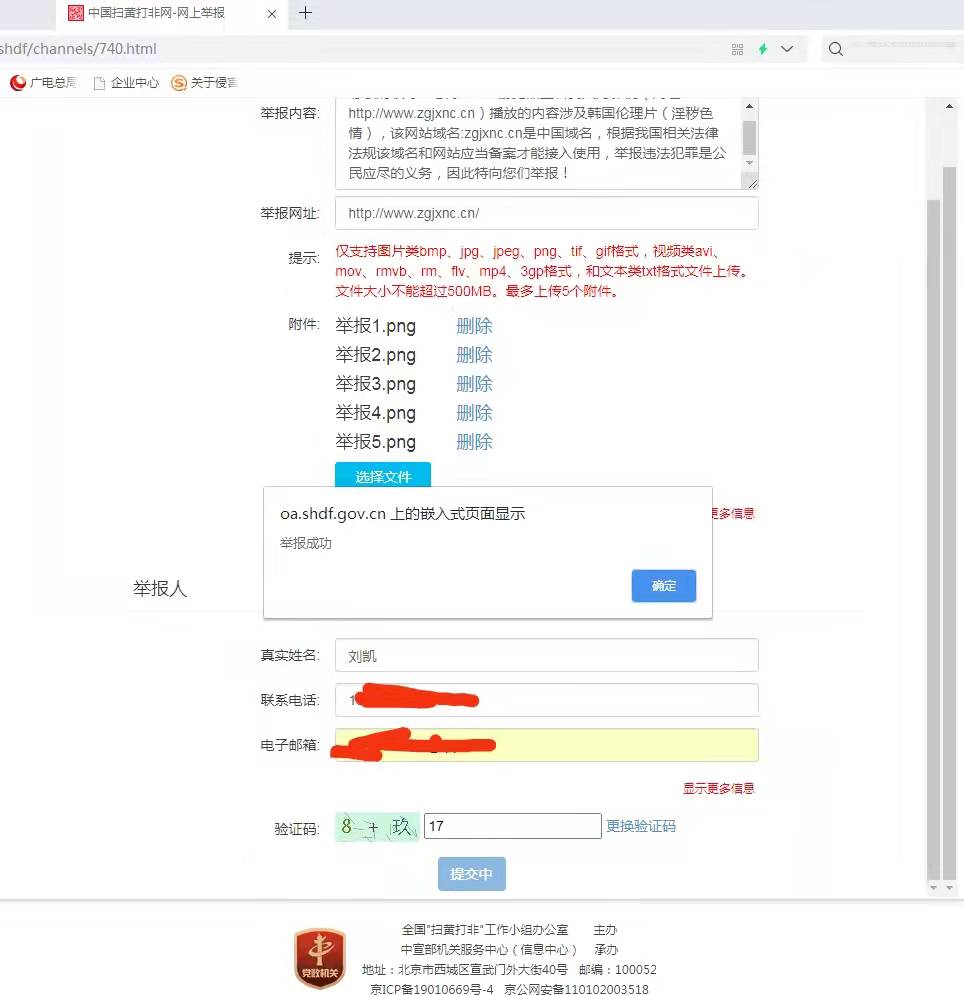 域名过期网站涉及淫秽色情传播和网络侵权纠纷