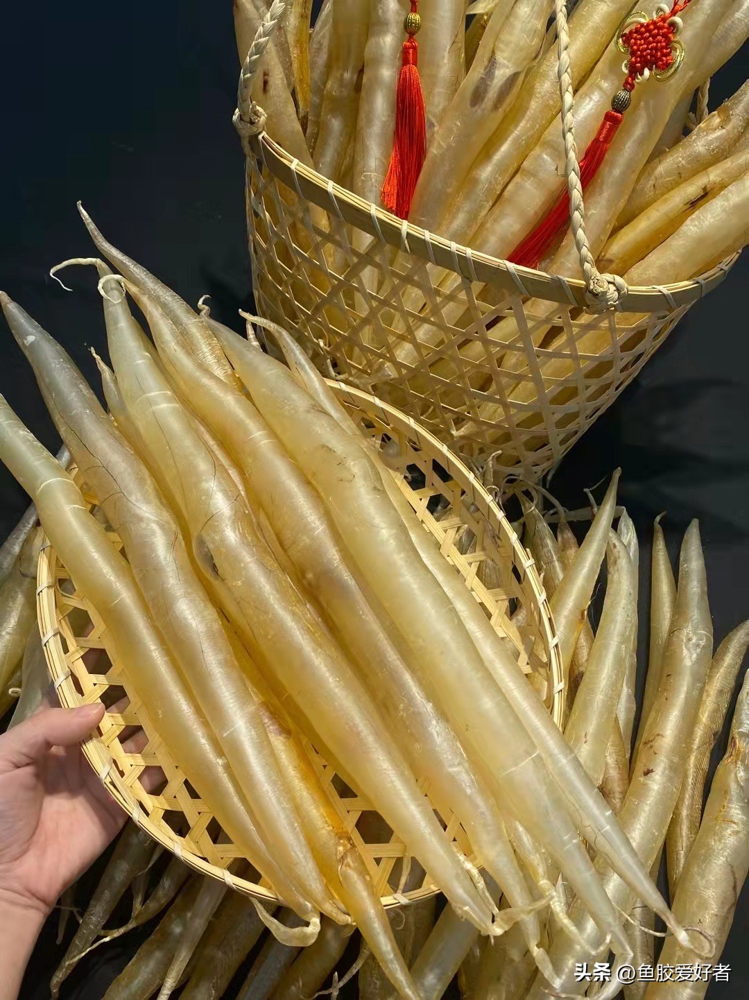 哪款鱼胶吃了对肺好,鱼胶哪些最好