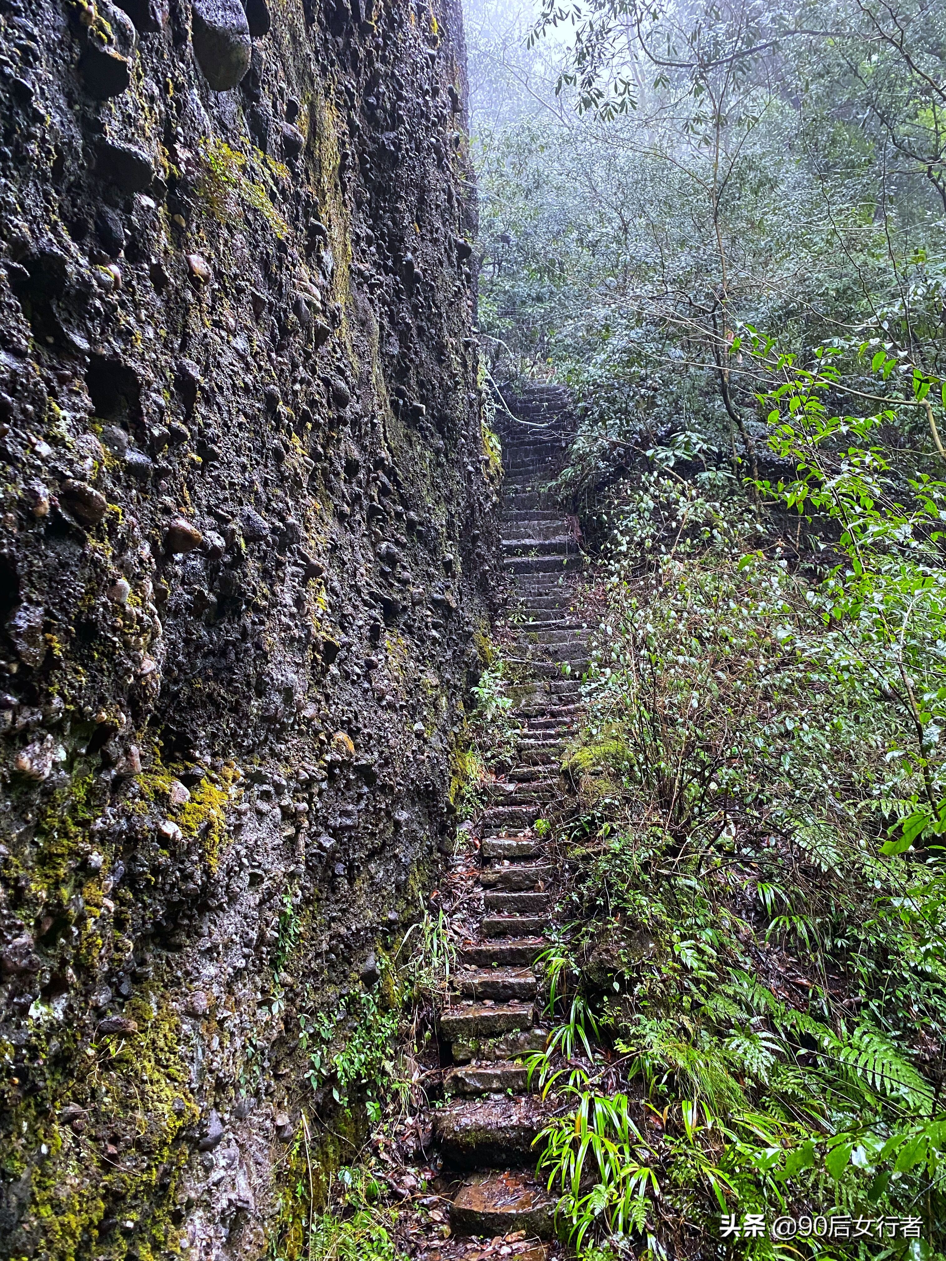 下雨天去拜访师傅合适吗,雨天去青城山