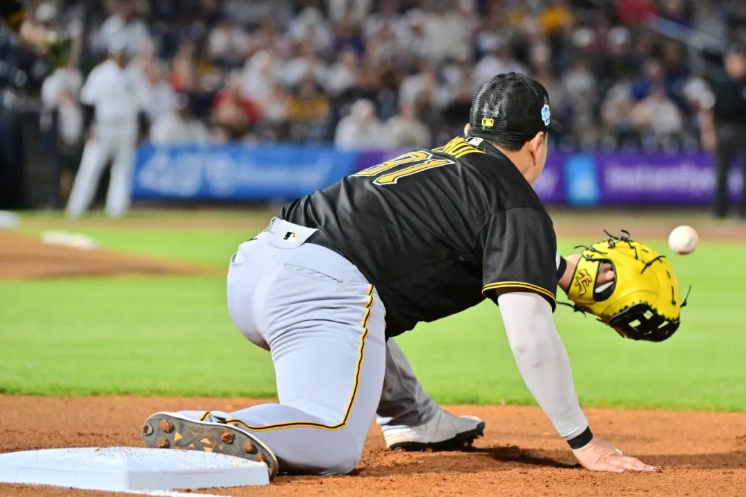 小熊能否加入战局打破两强争霸局面？——新赛季前瞻之国联中区篇