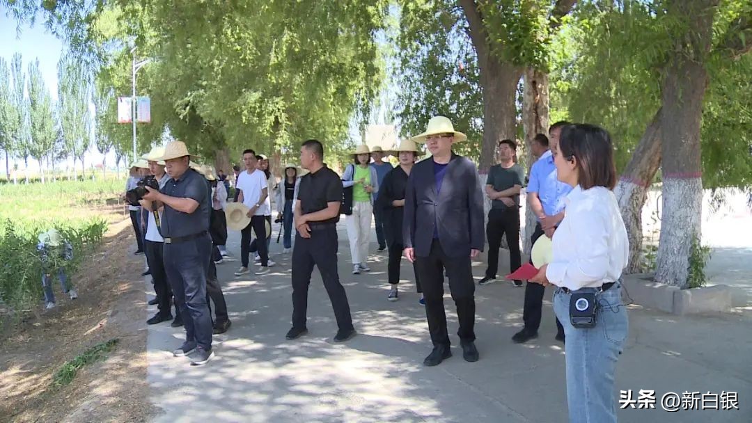 看看粤港澳大湾区记者们笔下的白银