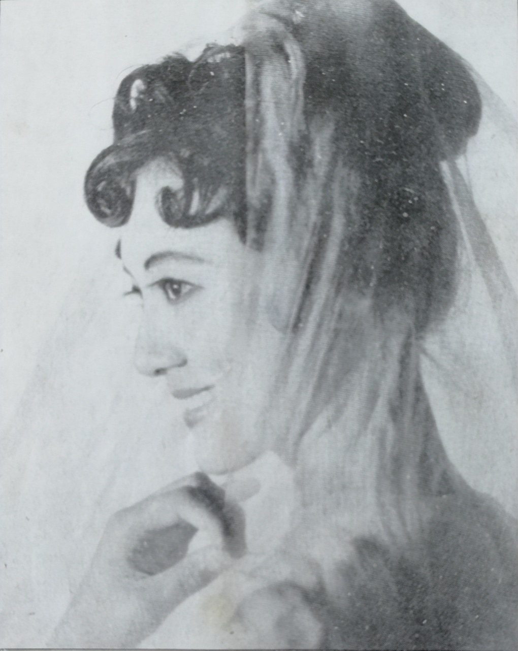 虎林照相馆,虎林印象摄影