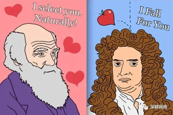 情人节的特辑片段,情人节特辑