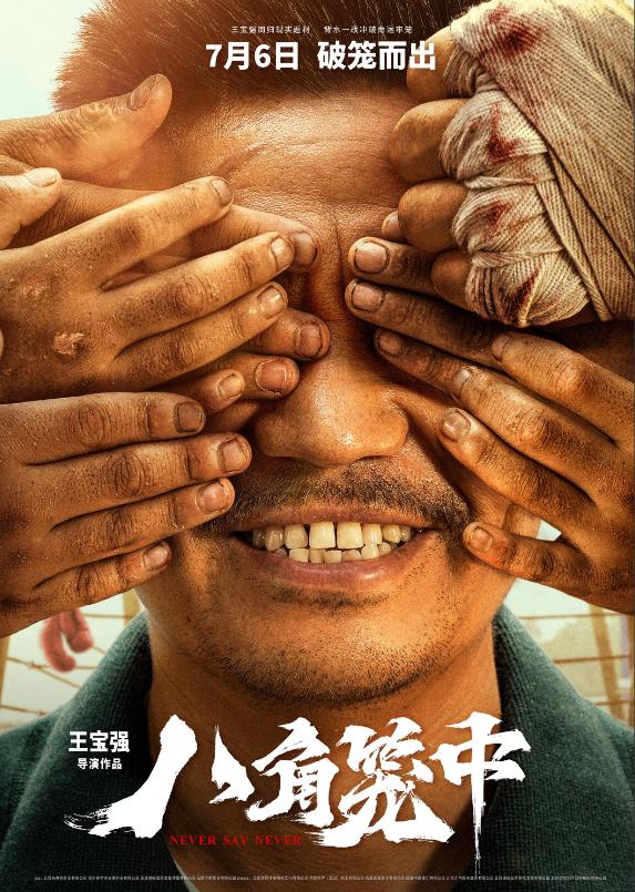 王宝强的第二个作品是什么,王宝强最能打的高光时刻