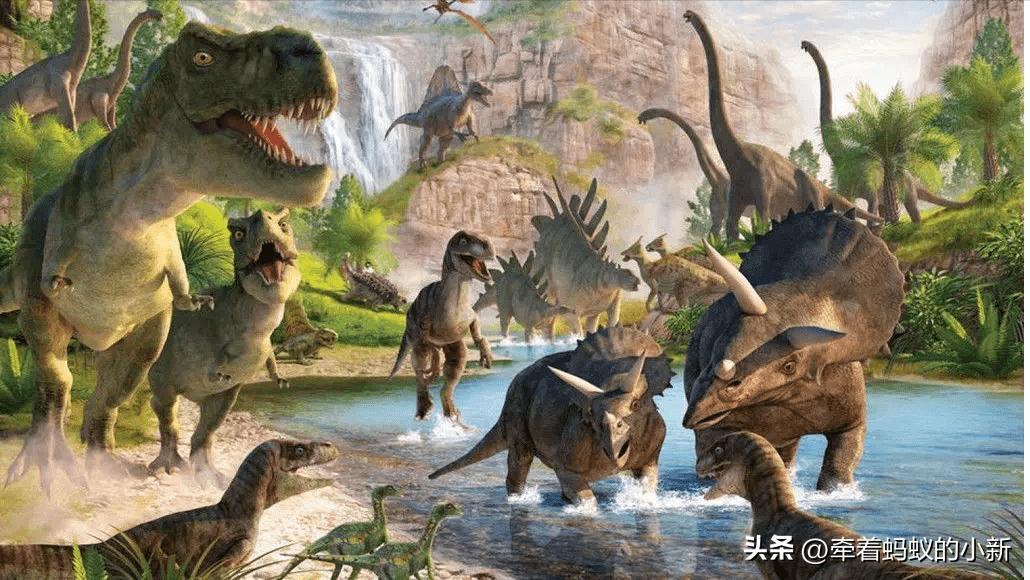 恐龙的分类以及特征,科普恐龙的种类和特点