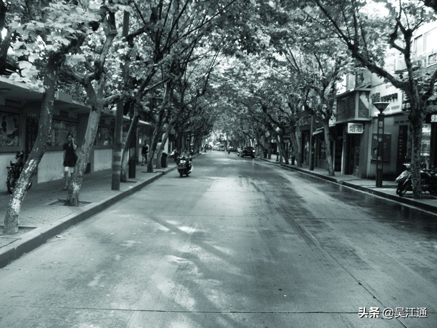 楸间簨灏忚,楸间簨鏉傝