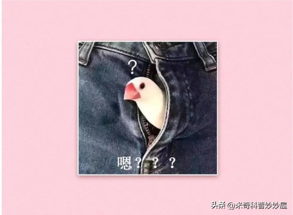 找个飞机场的女朋友有什么好处,男生有一个漂亮的妹妹什么感觉