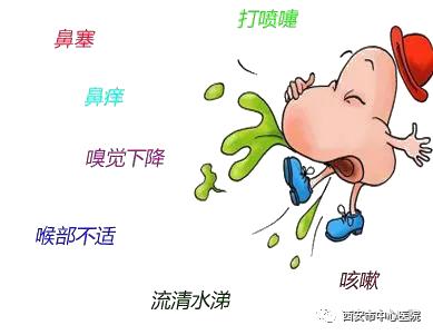 花粉症过敏性鼻炎偏方,花粉症过敏性鼻炎用什么药