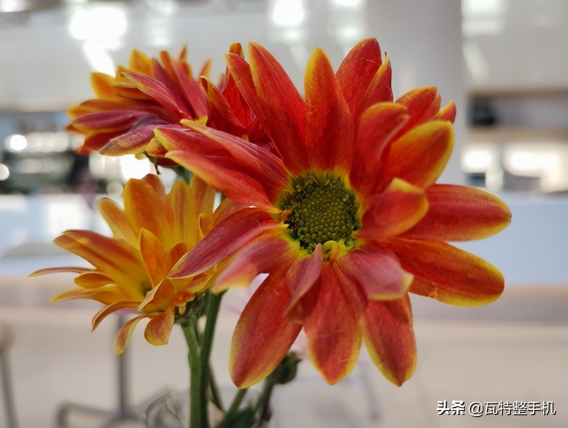 motog71参数,motog71手机参数