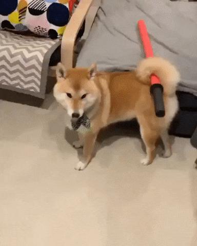 dnf老玩家回归该怎么玩,dnf老玩家回归pk注意事项