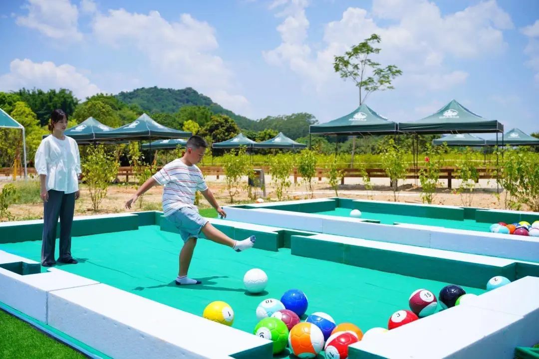 岭南景区民宿,岭南式民宿