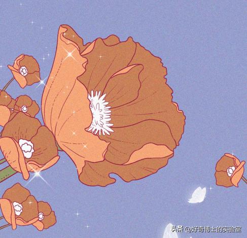 听说，「前列腺高潮」才是男人的终极梦想？