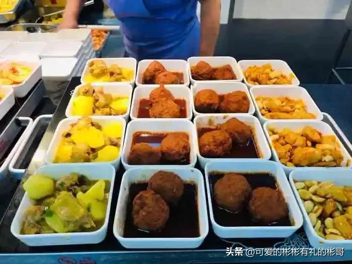 上海电机学院2023本科生好就业吗,上海电机学院本科生去向