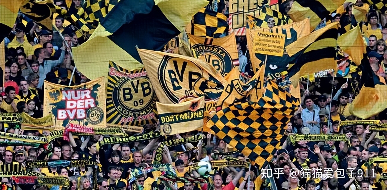 “蓝白相间，至死不移”